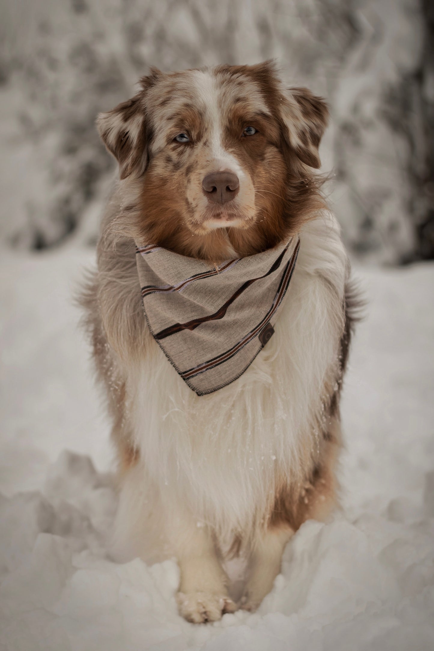 Halstuch EDDA - Bandana | Hundehalstuch | leicht