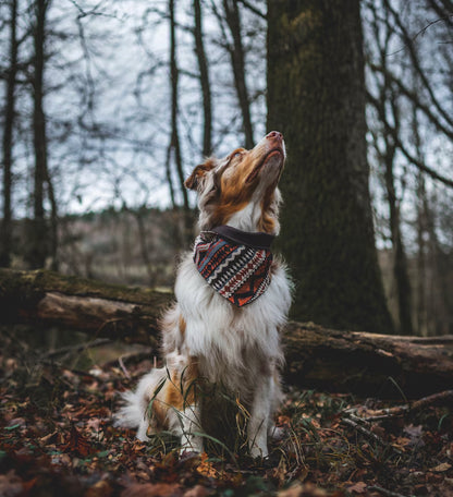 Halstuch FENRIS - Bandana | Hundehalstuch | schwer