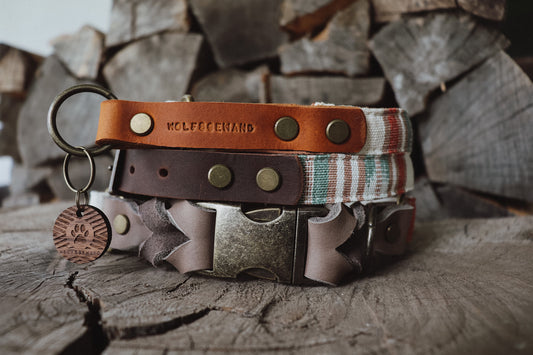 Halsband DAG • Fettleder-Stoff-Kombi | verschiedene Varianten erhältlich