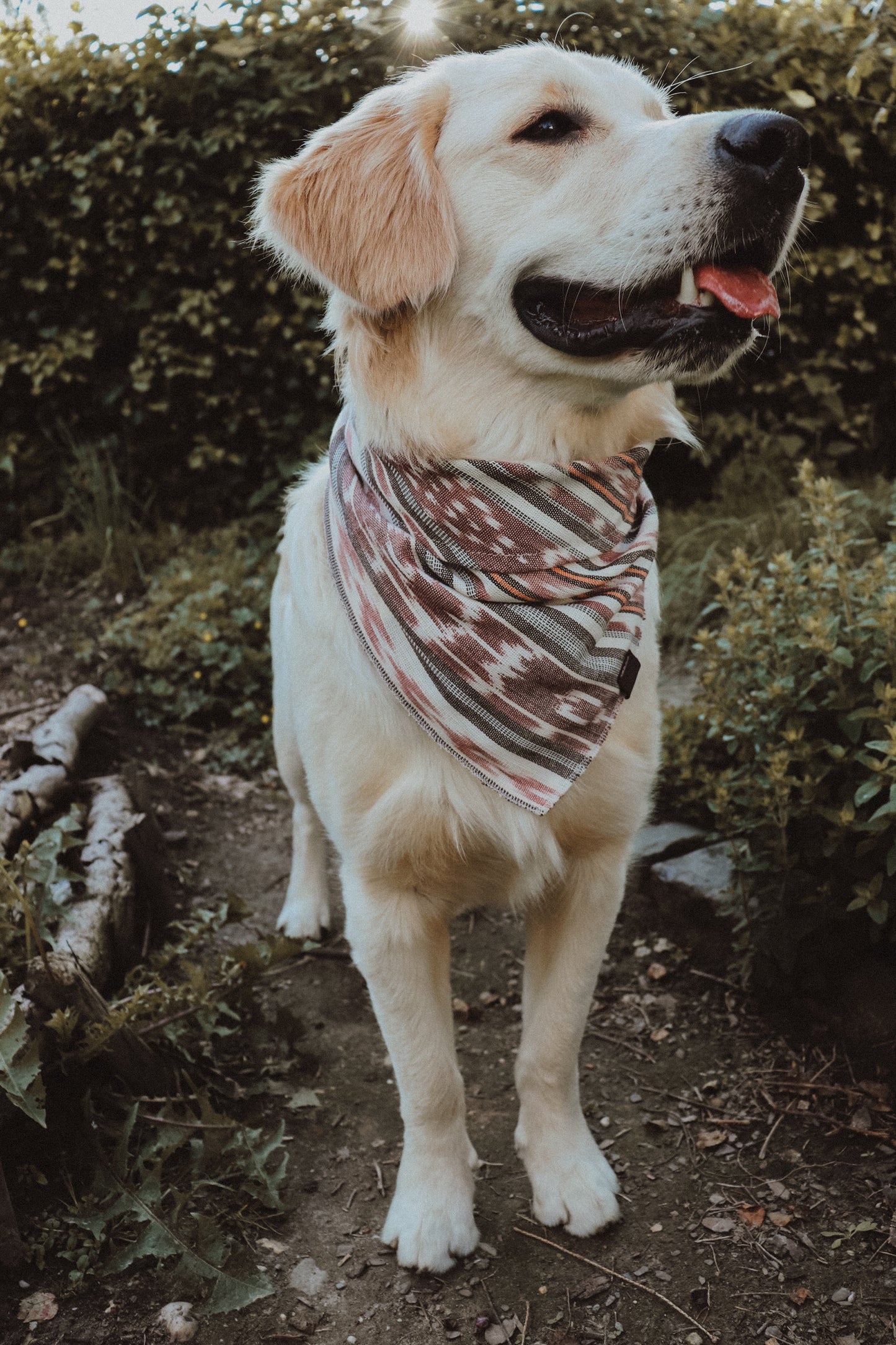 Halstuch SOL - Bandana | Hundehalstuch | leicht