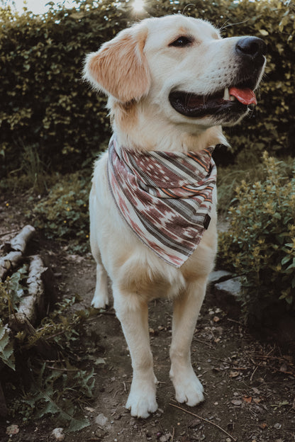 Halstuch SOL - Bandana | Hundehalstuch | leicht