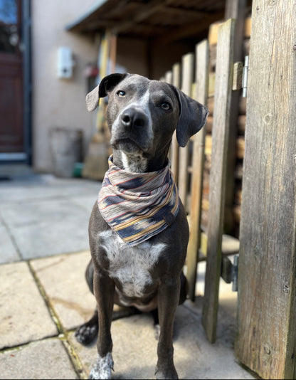Halstuch SIF - Bandana | Hundehalstuch | leicht