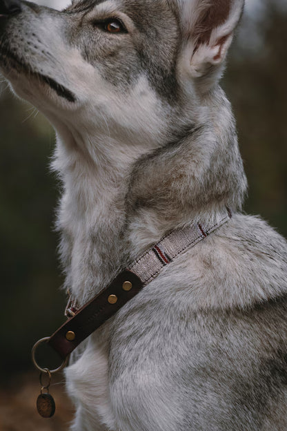 EDDA collar in an ethnic look made of greased leather and fabric combination - available in different designs