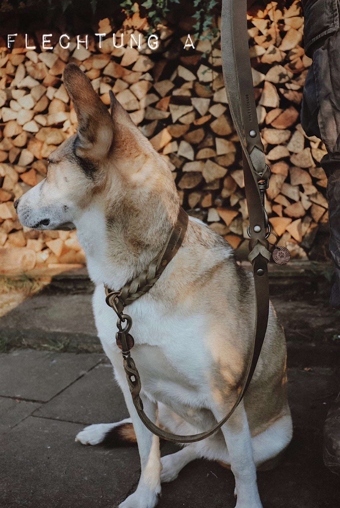 Zugstopp Halsband aus Fettleder | Retrieverhalsband zum Überstreifen