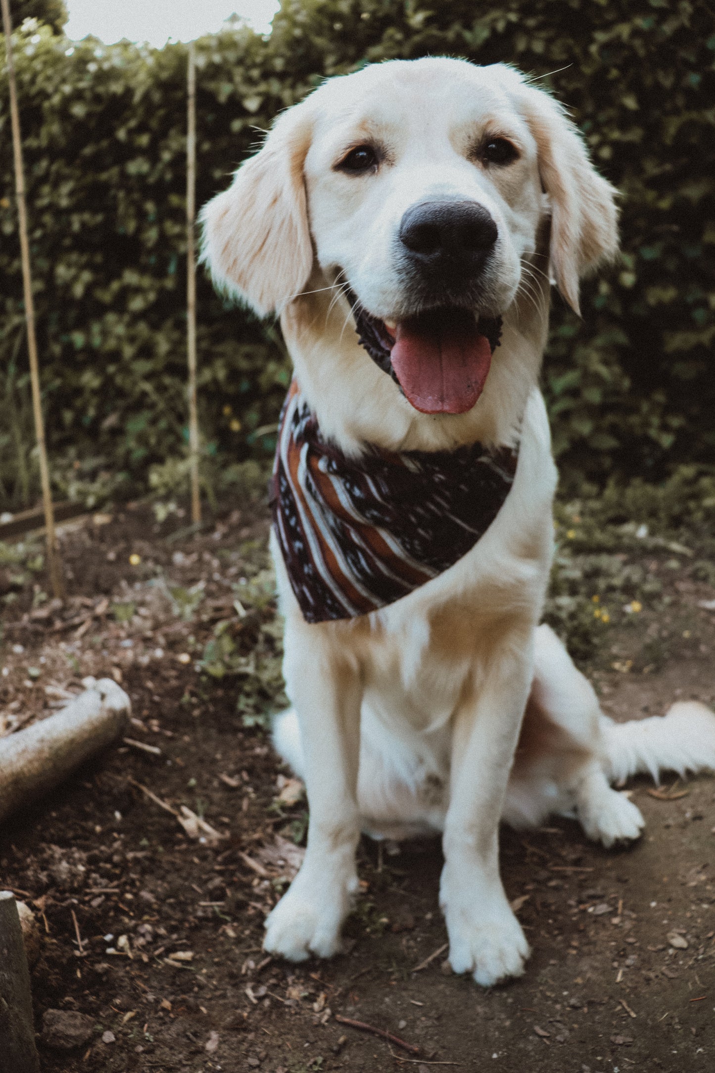 Halstuch MANI - Bandana | Hundehalstuch | leicht