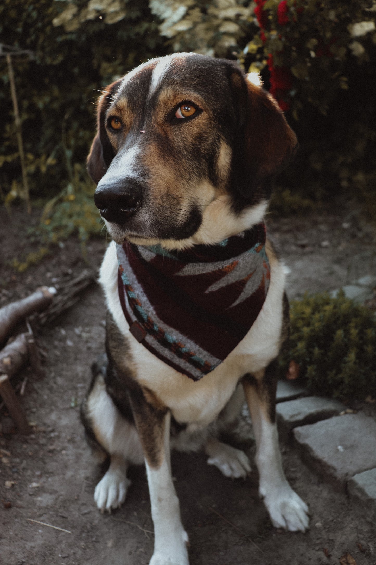 Halstuch ASA - Bandana | Hundehalstuch | mittelschwer