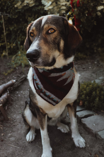 Halstuch ASA - Bandana | Hundehalstuch | mittelschwer