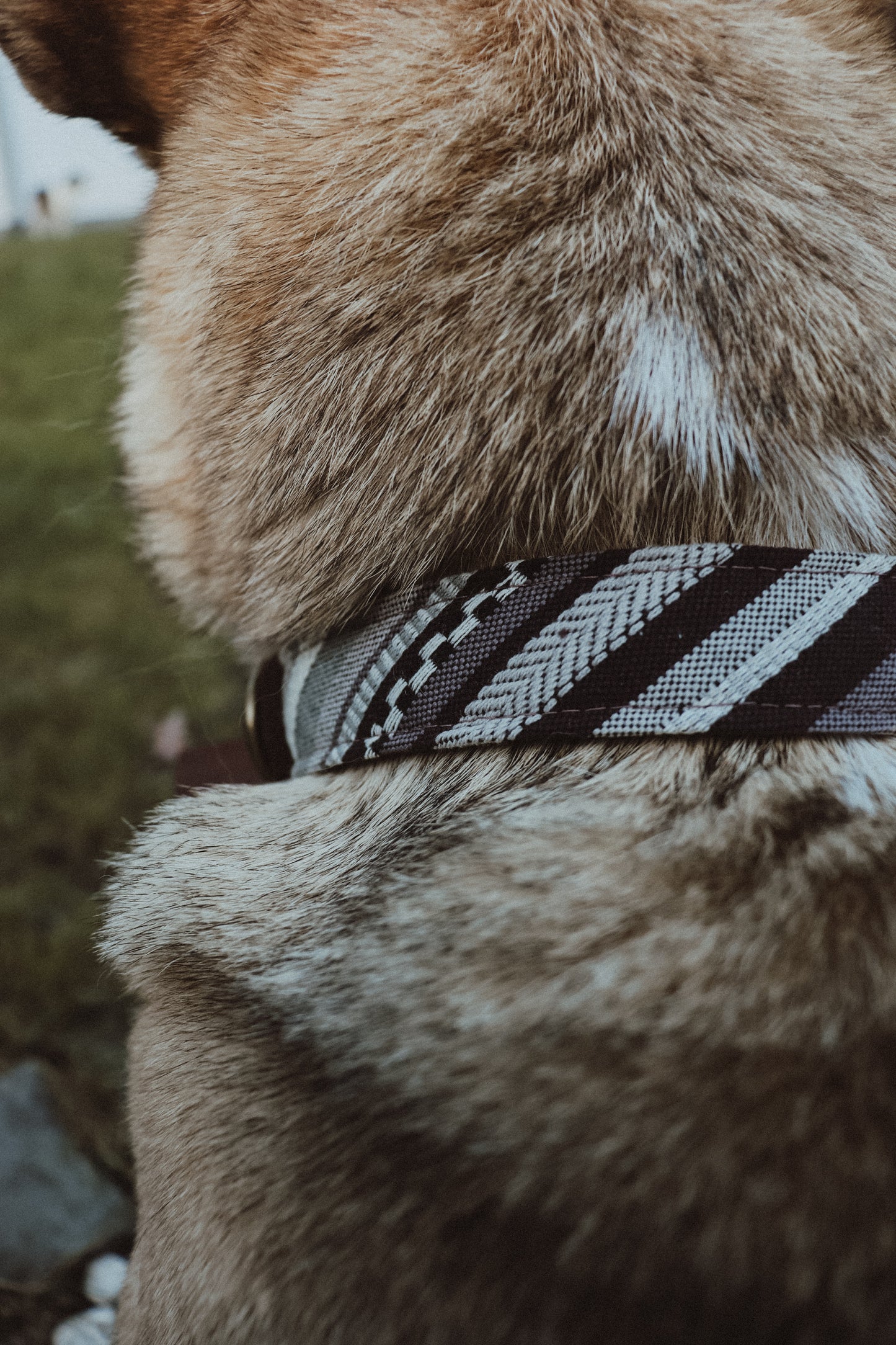 Halsband FRIGG • Fettleder-Stoff-Kombi | verschiedene Varianten erhältlich