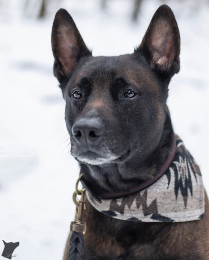 Halstuch YMIR - Bandana | Hundehalstuch | mittelschwer