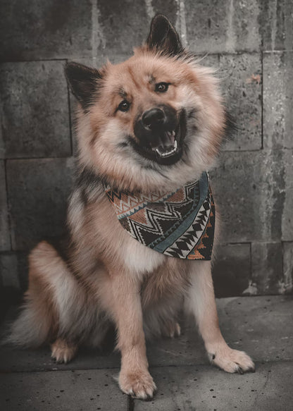 Halstuch LOKI - Bandana | Hundehalstuch | schwer