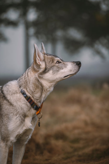 ODIN collar in an ethnic look made of greased leather and fabric combination - available in different designs