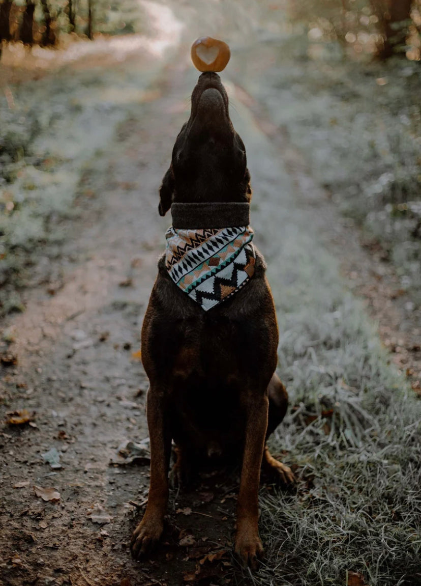 Halstuch LOKI - Bandana | Hundehalstuch | schwer