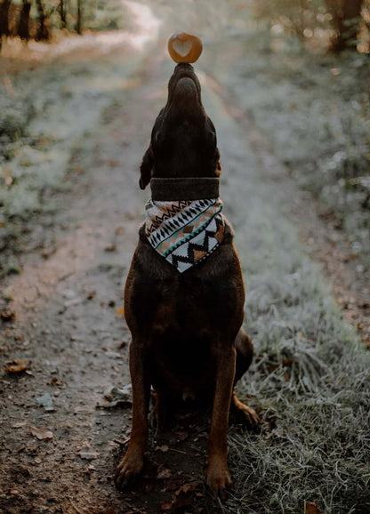 Halstuch LOKI - Bandana | Hundehalstuch | schwer