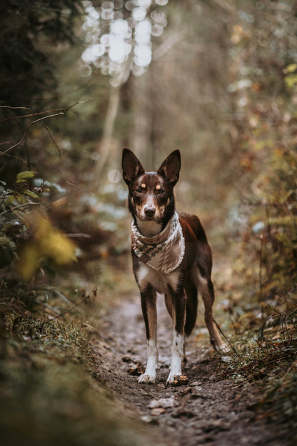 Halstuch EMBLA - Bandana | Hundehalstuch | mittelschwer