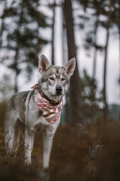 Halstuch SINDRI - Bandana | Hundehalstuch | mittelschwer