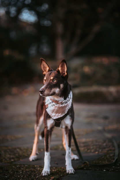 Halstuch EMBLA - Bandana | Hundehalstuch | mittelschwer