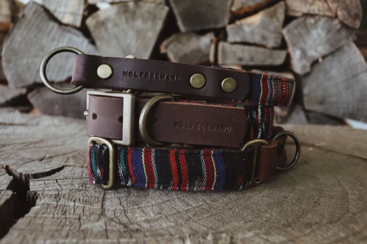 Halsband NOTT • Fettleder-Stoff-Kombi | verschiedene Varianten erhältlich