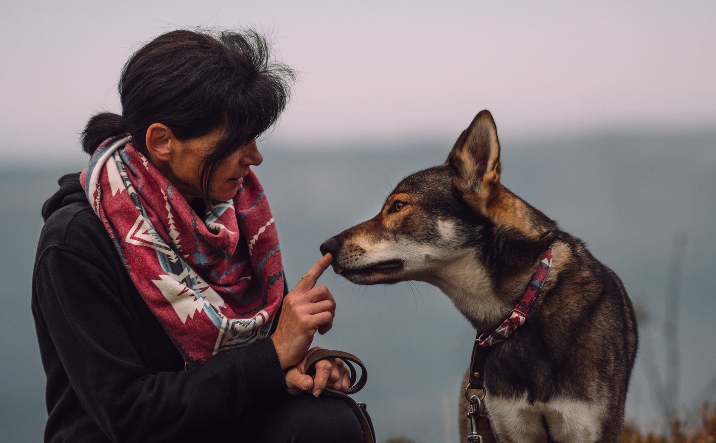 Halstuch SAGA - Pawtner Halstuch für Menschen im Ethno-Stil