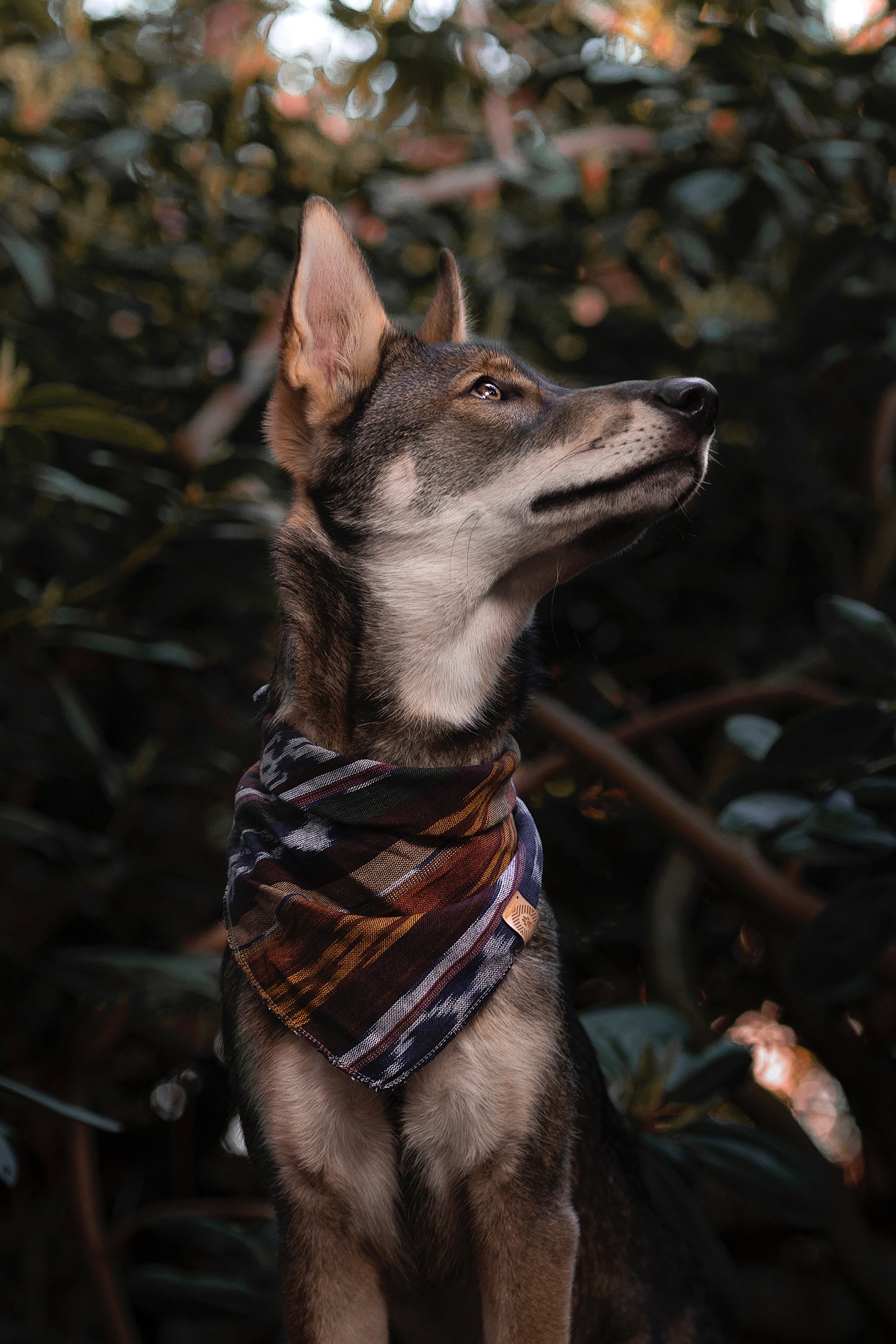 Halstuch FREKI - Bandana | Hundehalstuch | leicht
