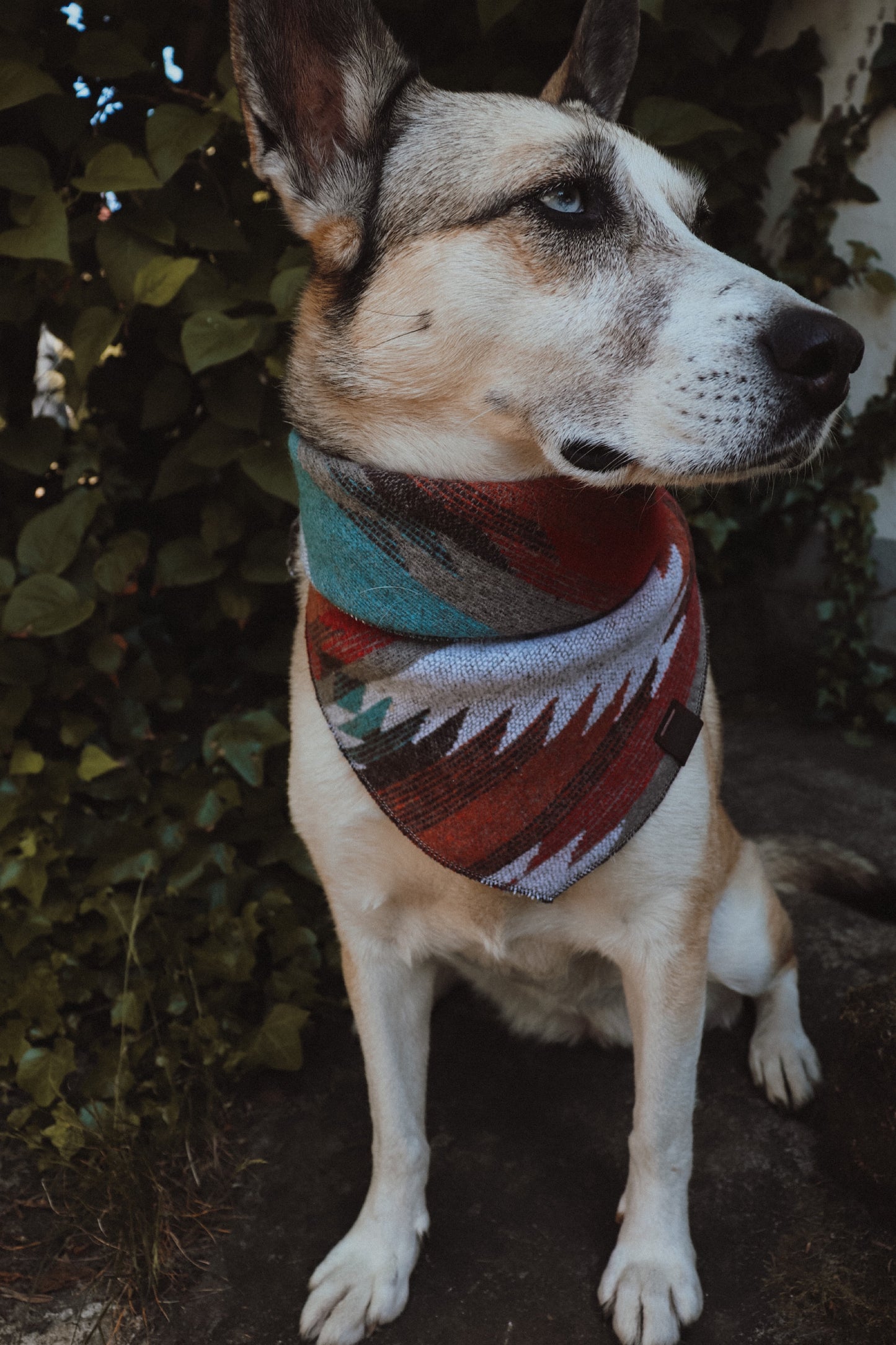 Halstuch VERDANDI - Bandana | Hundehalstuch | mittelschwer