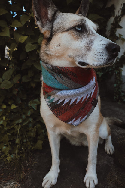 Halstuch VERDANDI - Bandana | Hundehalstuch | mittelschwer