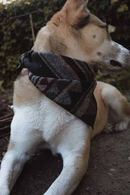 Halstuch GEFION - Bandana | Hundehalstuch | mittelschwer