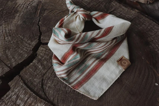 Halstuch DAG - Bandana | Hundehalstuch | leicht