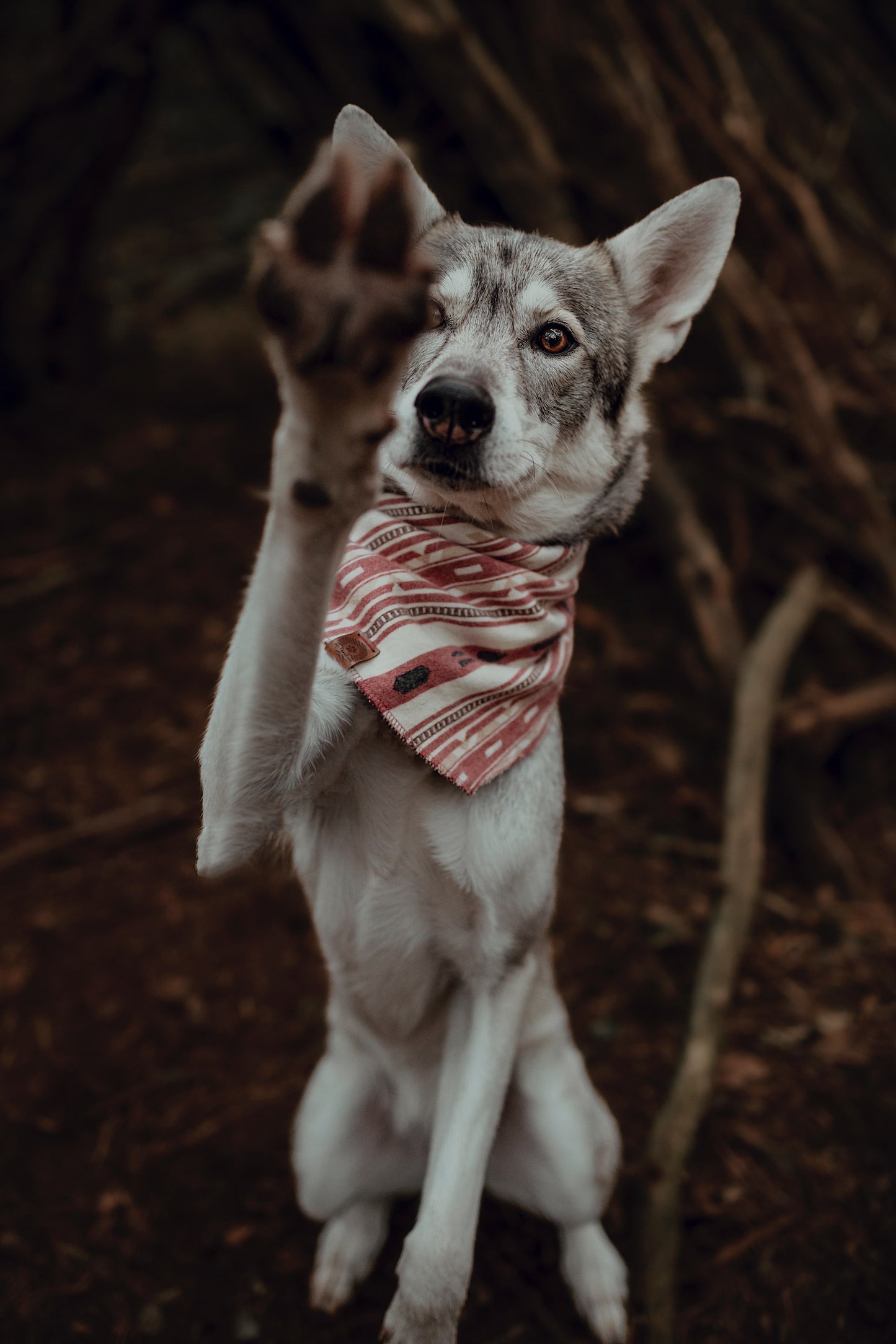 Halstuch SINDRI - Bandana | Hundehalstuch | mittelschwer