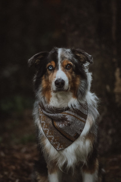 Halstuch THRUD - Bandana | Hundehalstuch | mittelschwer