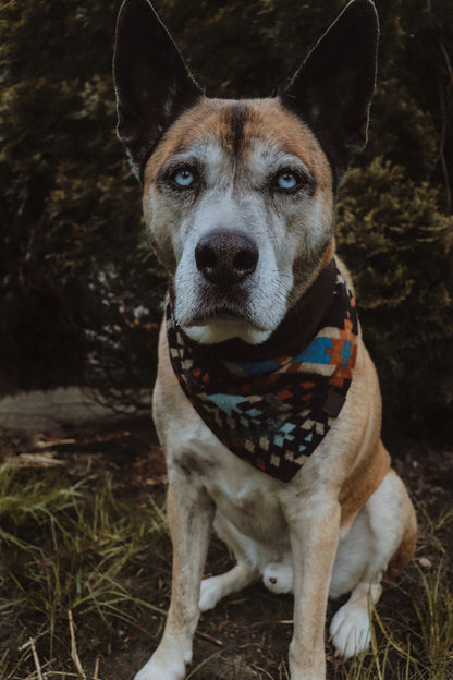 Halstuch VALI - Bandana | Hundehalstuch | mittelschwer