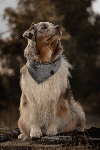 Halstuch SKULD - Bandana | Hundehalstuch | mittelschwer