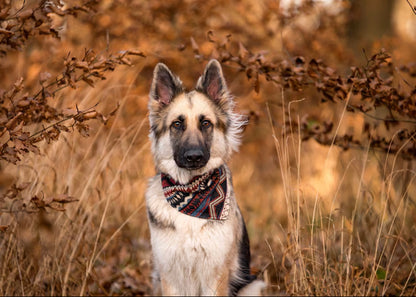 Halstuch FENRIS - Bandana | Hundehalstuch | schwer