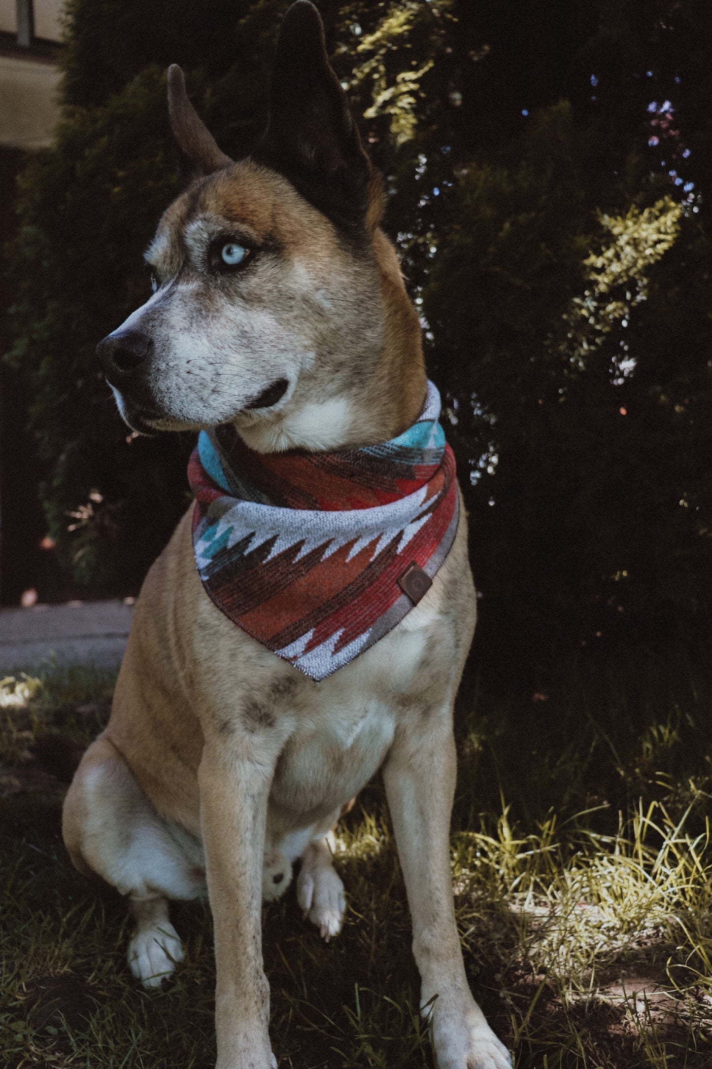 Halstuch VERDANDI - Bandana | Hundehalstuch | mittelschwer