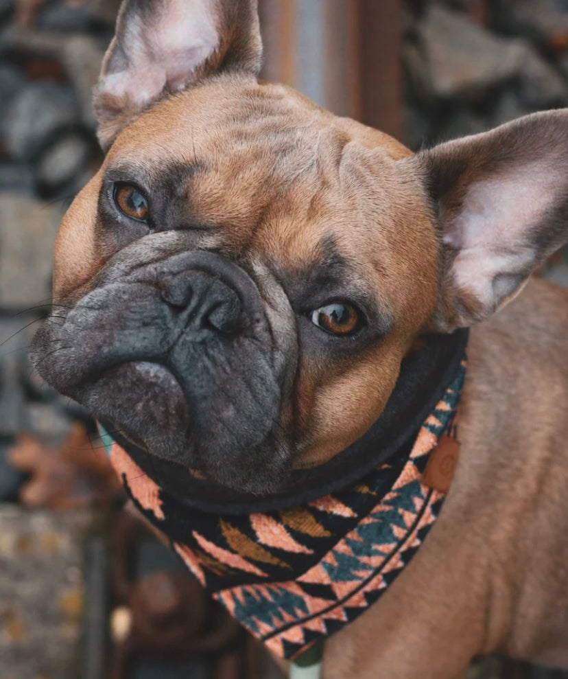 Halstuch LOKI - Bandana | Hundehalstuch | schwer