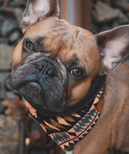 Halstuch LOKI - Bandana | Hundehalstuch | schwer