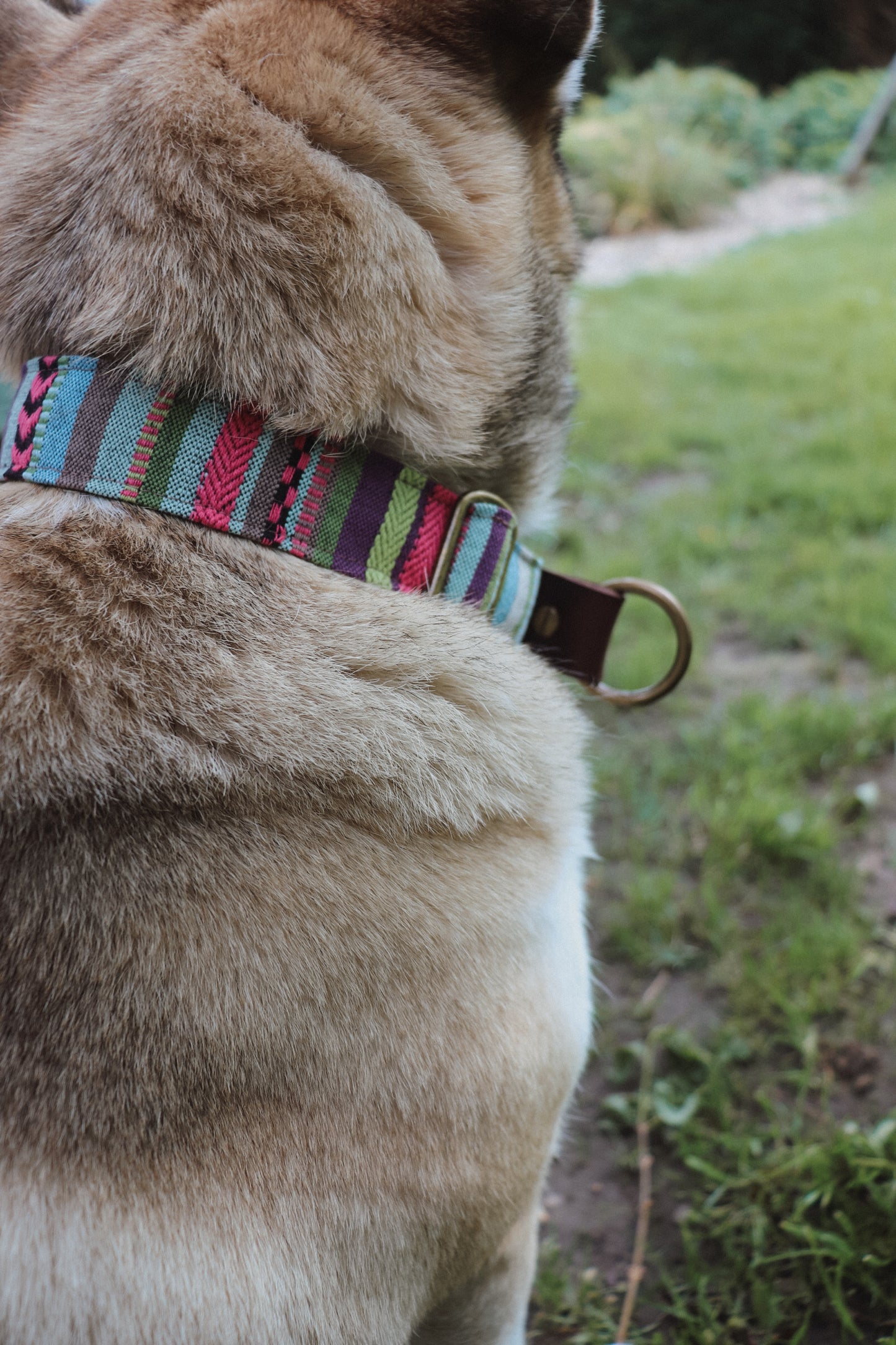 TYR collar in an ethnic look made of greased leather and fabric combination - available in different designs