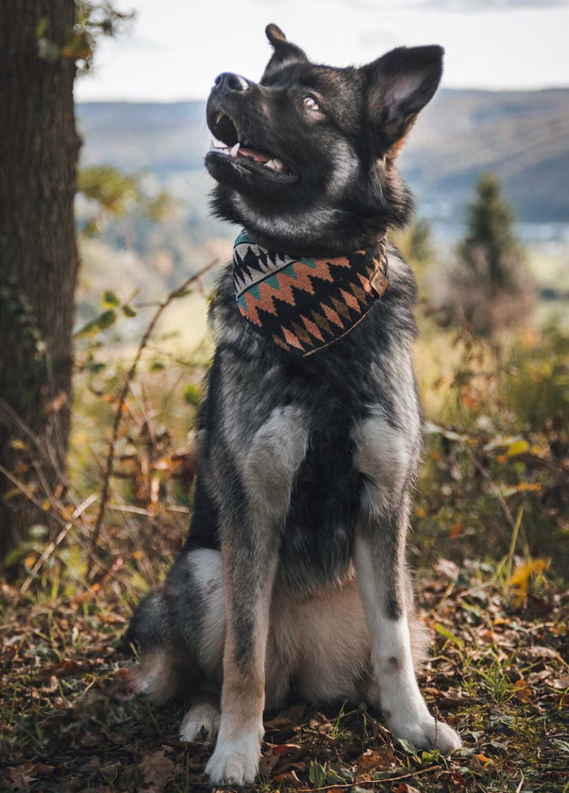 Halstuch LOKI - Bandana | Hundehalstuch | schwer