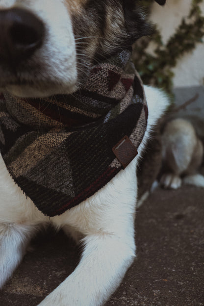 Halstuch GEFION - Bandana | Hundehalstuch | mittelschwer