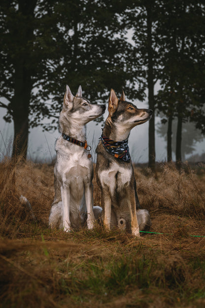ODIN collar in an ethnic look made of greased leather and fabric combination - available in different designs
