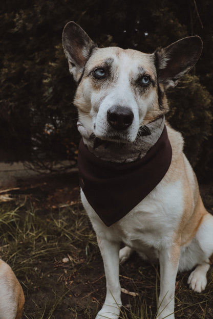 Halstuch YMIR - Bandana | Hundehalstuch | mittelschwer