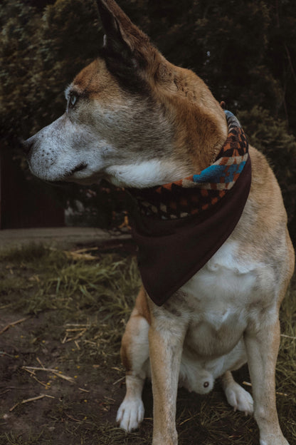 Halstuch VALI - Bandana | Hundehalstuch | mittelschwer