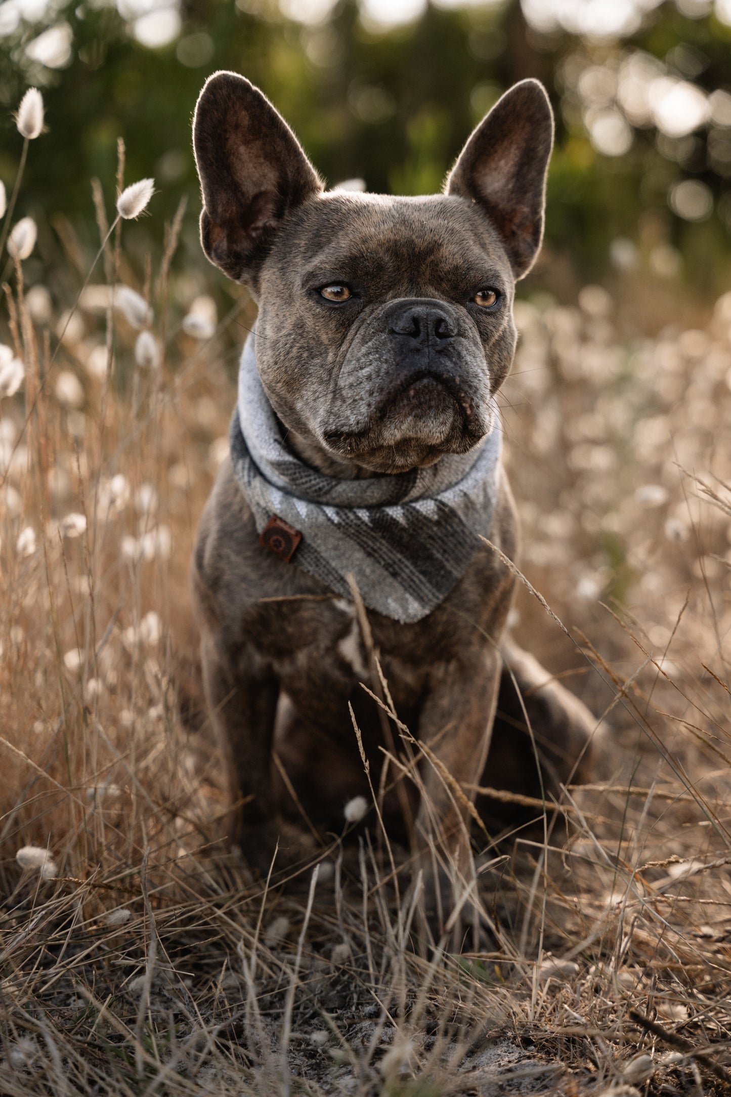 Halstuch SKULD - Bandana | Hundehalstuch | mittelschwer