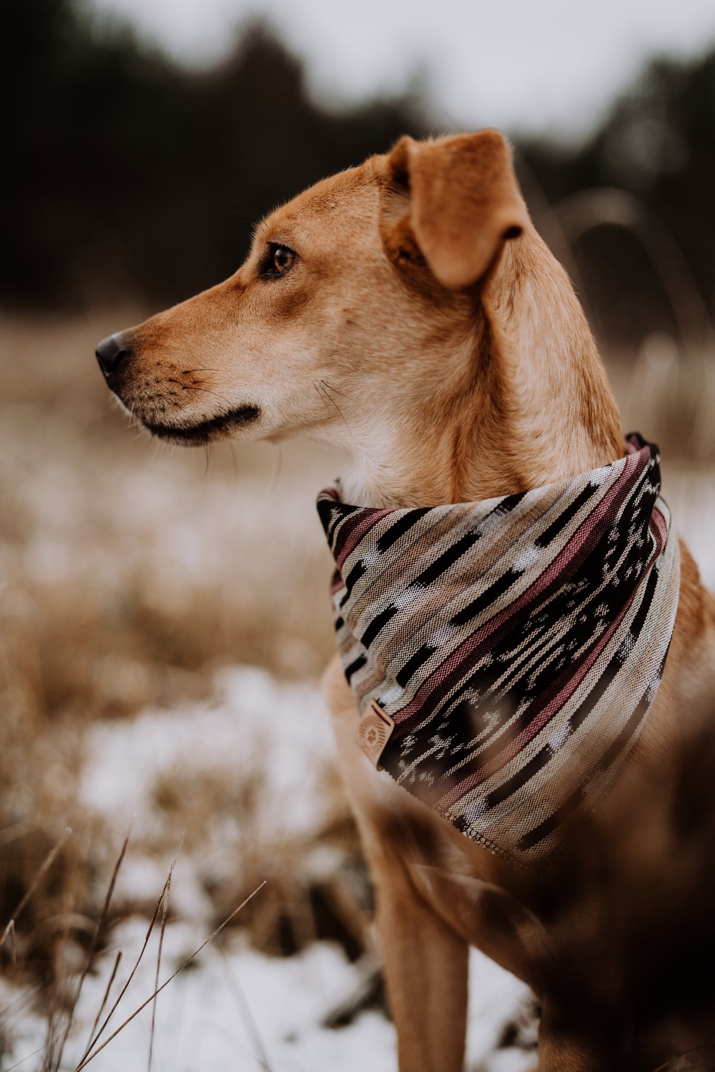 Halstuch IDUNA - Bandana | Hundehalstuch | leicht