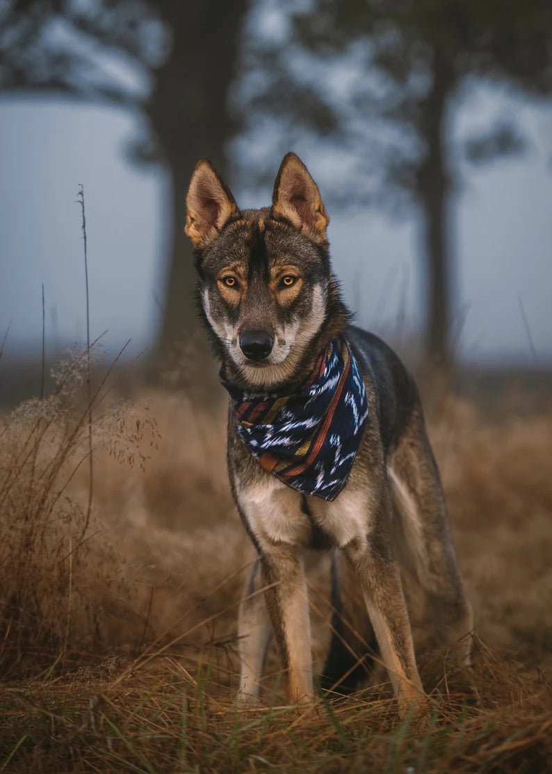Halstuch ODIN - Bandana | Hundehalstuch | leicht