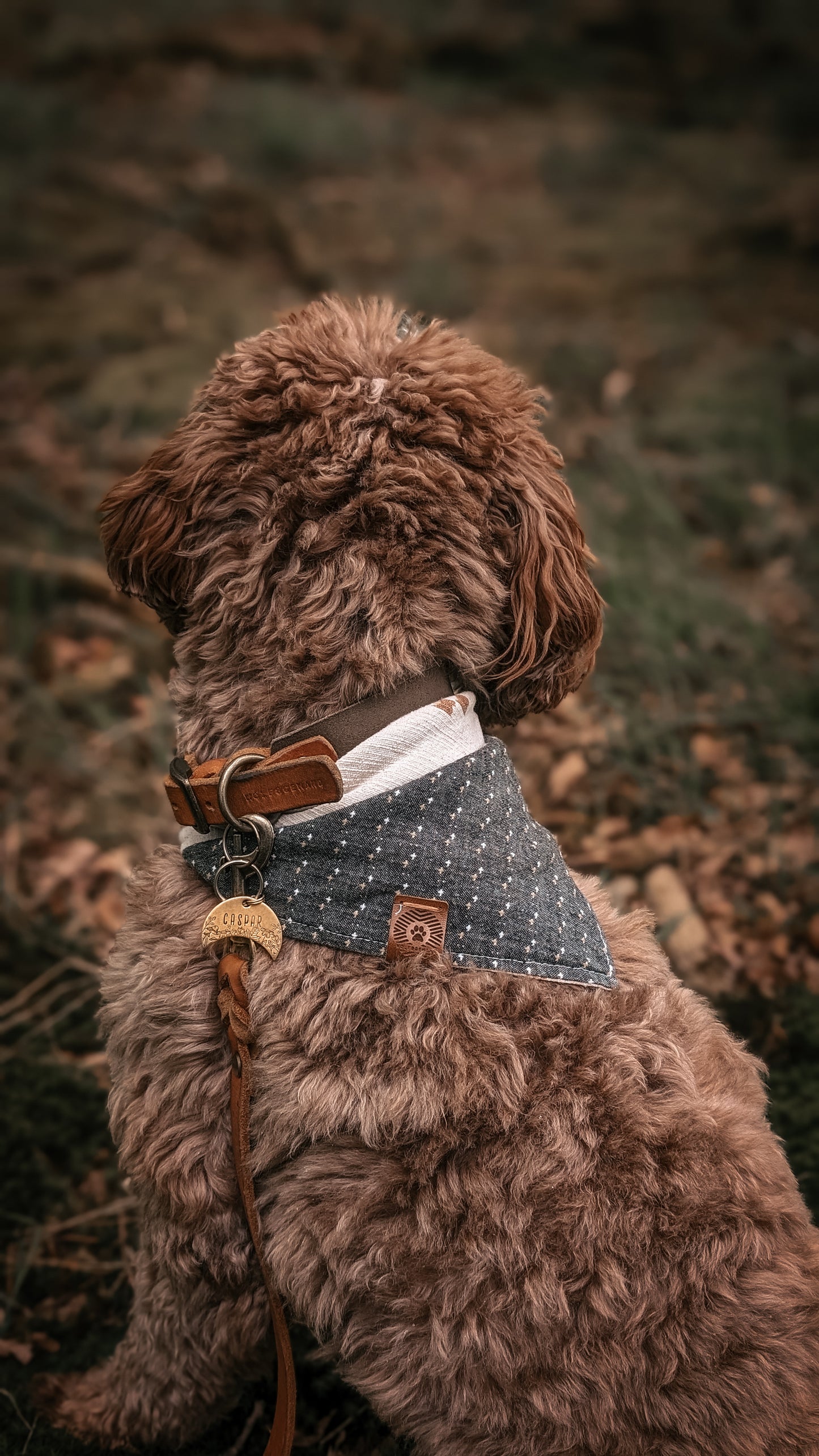 Halstuch RUNA - Bandana Hundehalstuch | leicht