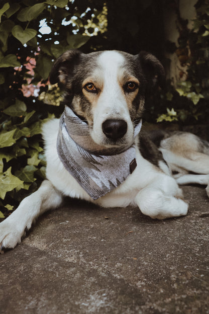 Halstuch SKULD - Bandana | Hundehalstuch | mittelschwer
