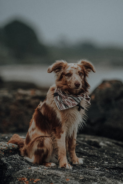 Halstuch SOL - Bandana | Hundehalstuch | leicht