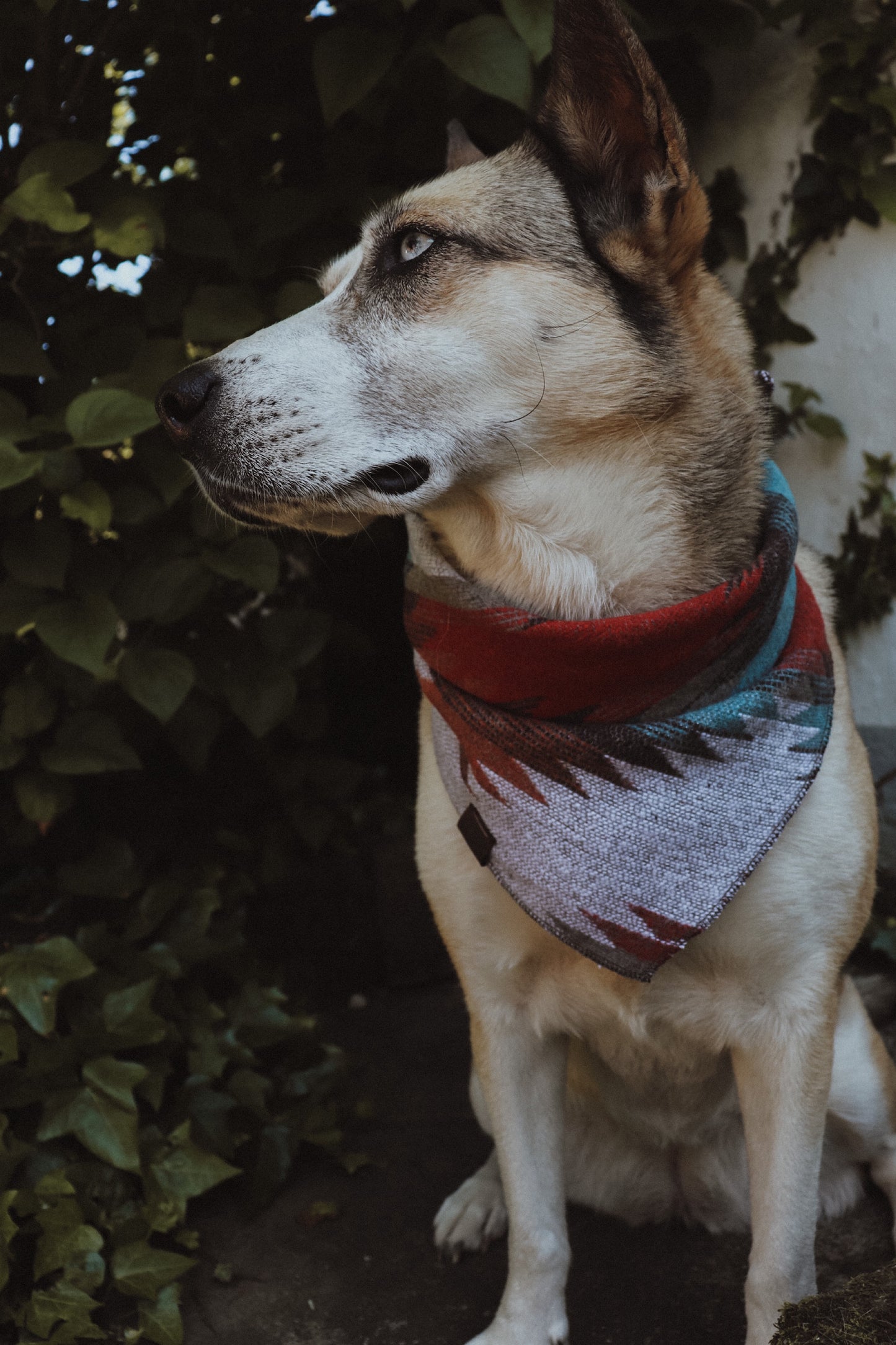 Halstuch VERDANDI - Bandana | Hundehalstuch | mittelschwer