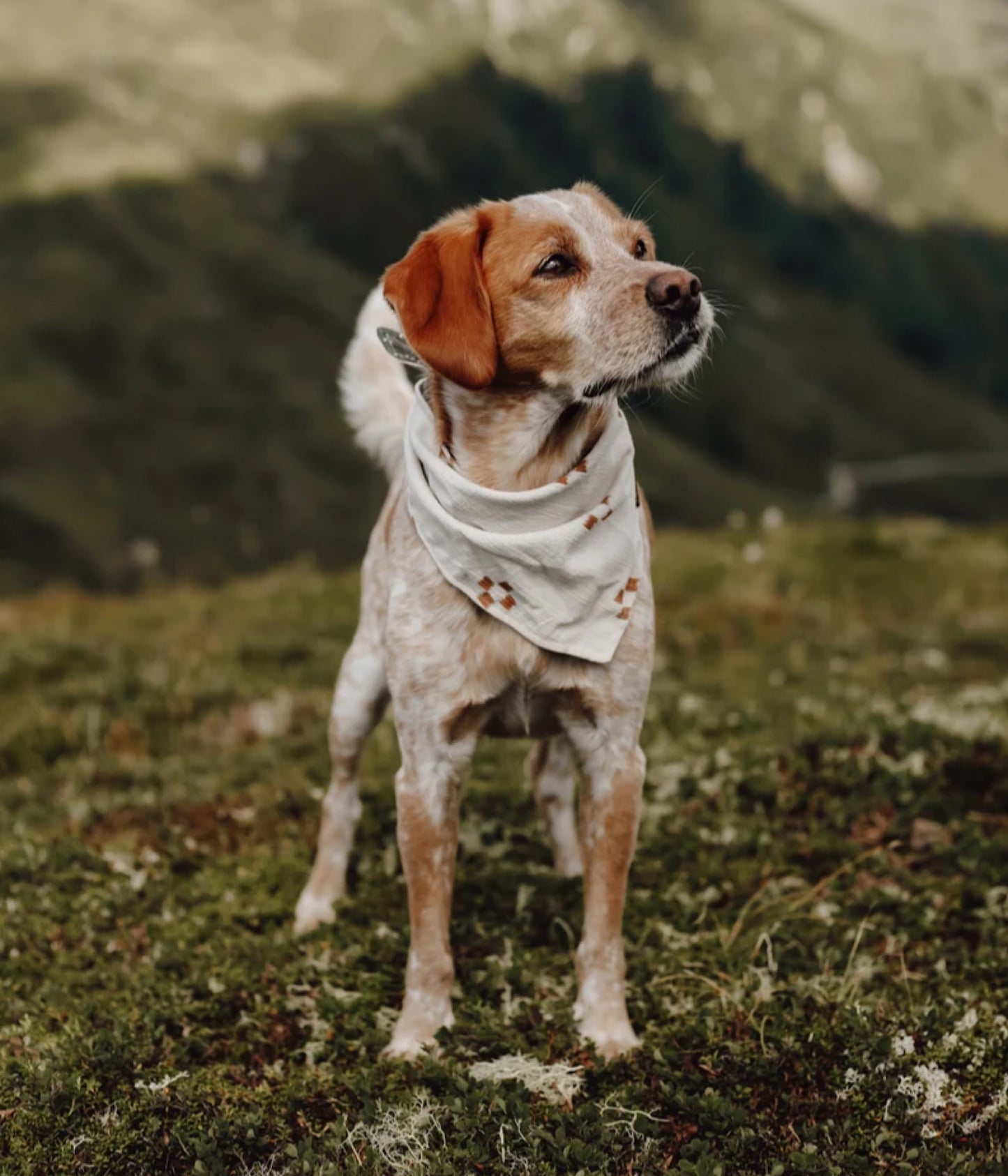 Halstuch RUNA - Bandana Hundehalstuch | leicht