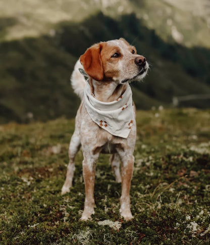 Halstuch RUNA - Bandana Hundehalstuch | leicht